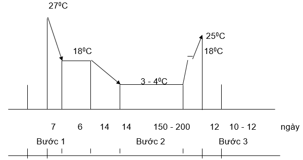 sơ đồ_1656057223.png